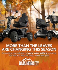 mobility scooter