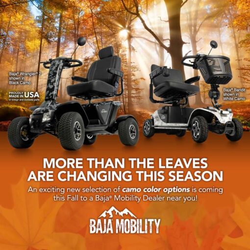mobility scooter